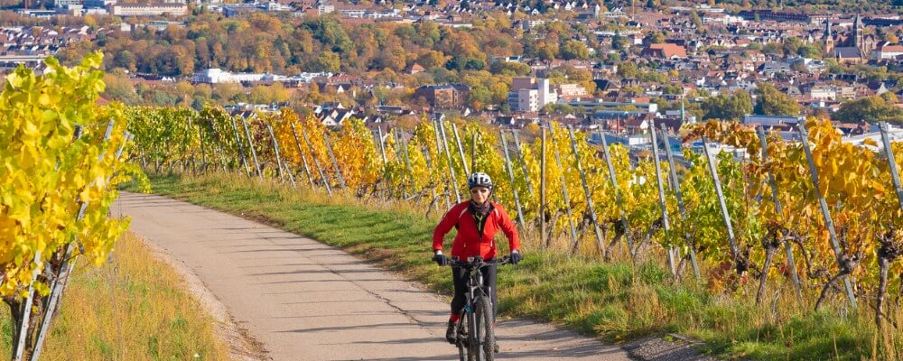 Bachelor Werbung in Baden-Württemberg?