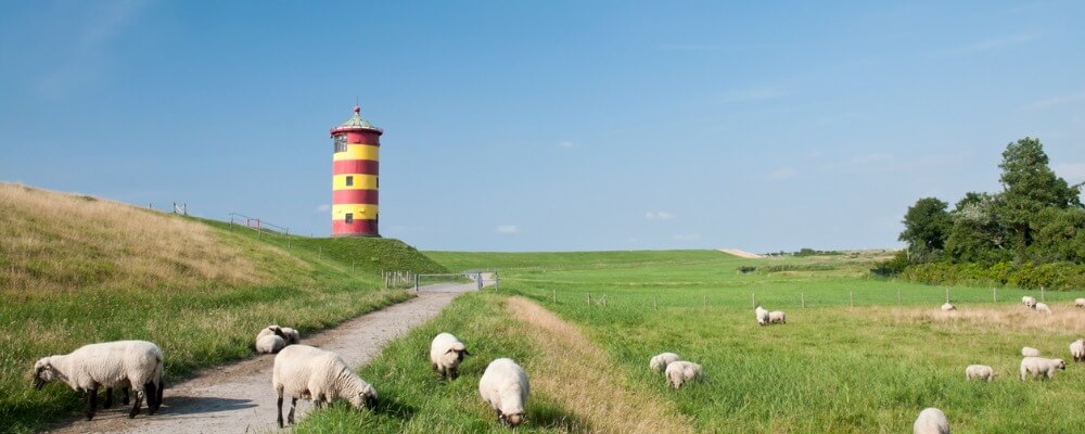 Berufsbegleitendes Präsenzstudium Marketingmanagement in Niedersachsen